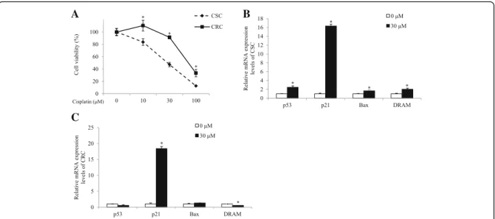 Fig. 1 Effects of cisplatin on the cell viability and mRNA expression levels of p53, p21, Bax, and DRAM in CSC and CRC