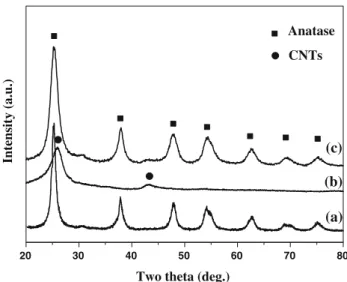 Figure 3 displays the XRD pattern of pure TiO 2 and TiO 2 NPs-coated CNTs nanocomposites