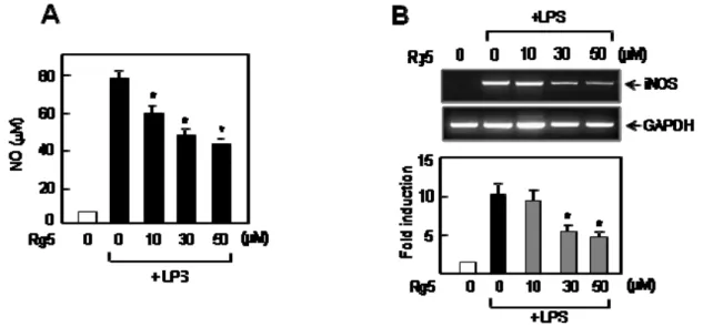Figure 2. Effect of Rg5 on LPS-induced NO production and iNOS expression in BV2  microglial cells