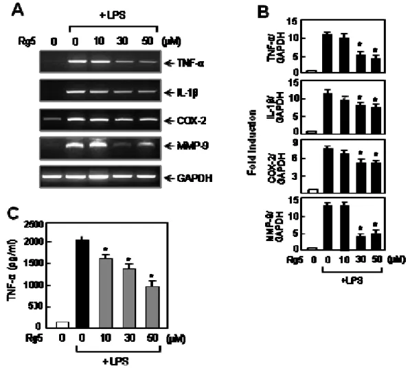 Figure 3. Rg5 suppressed LPS-induced expression of TNF-α, IL-1β, COX-2 and MMP-9  in BV2 cells