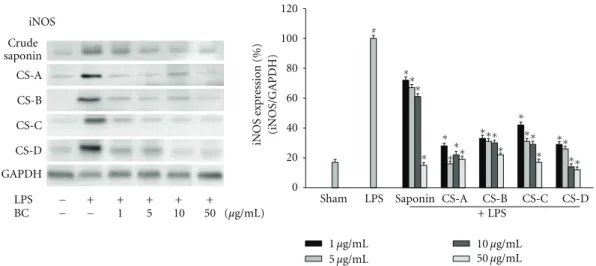Figure 3: Eﬀects of blue cohosh constituents on iNOS protein expression in LPS-treated microglial cell