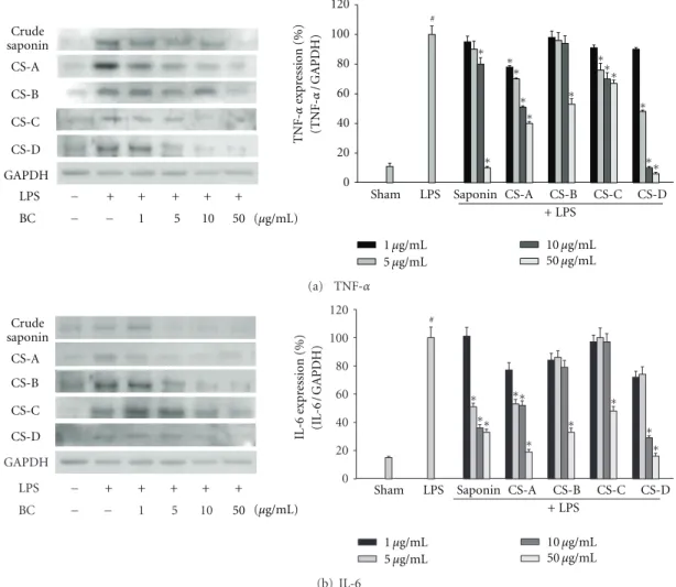 Figure 4: Eﬀects of blue cohosh constituents on the LPS-induced expressions of TNF-α and IL-6 expression in BV2 cells