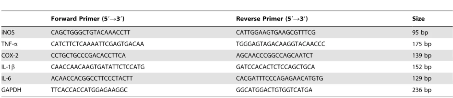 Table 1. DNA sequences of primers used in real-time PCR reactions, and expected product sizes.