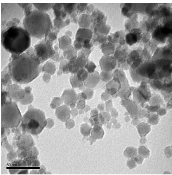 Figure 1 Transmission electron microscope image of the nanoemulsion oleoresin 