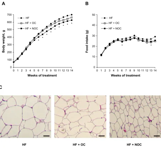 Figure 2 effects of Oc and NOc on diet-induced obesity.