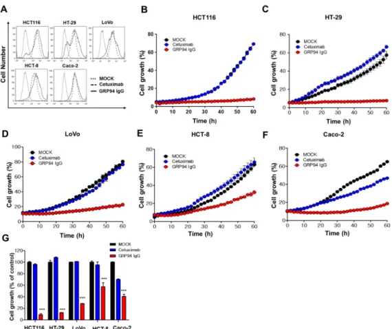 Figure 4. Effect of GRP94 IgG on CRC cell growth. (A) HCT116, HT-29, LoVo, HCT-8, and Caco-2  cells were subjected to flow cytometry in the absence (dotted line) or presence (dashed line) of  cetuximab or GRP94 IgG (solid line)