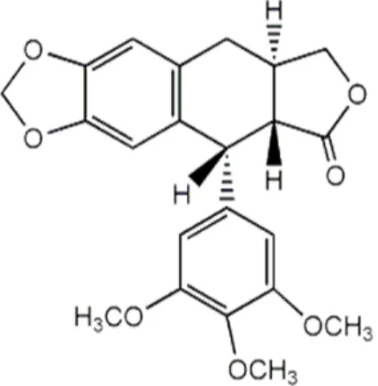 Figure 9. The chemical structure of anthricin (deoxypodophyllotoxin).  3.5. Statistical Analysis 