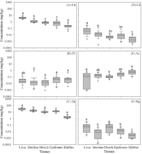 Fig.  3.  Box  plots  represent  the  concentrations  of  trace  metals  (Cu,  Pb,  Zn,  Cd,  As,  and  Hg)  in  different  organs  of  minke  whales  from  the  eastern  sea  of  Korea