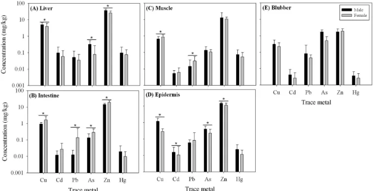 Fig.  4.  Comparison  of  average  concentration  for  trace  metals  in  different  organs  between  male  and  female  of  minke  whale