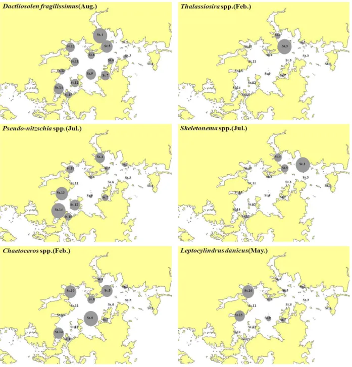 Fig.  6.  Horizontal  distribution  changes  is  Phytoplankton  dominant  during  study  periods.