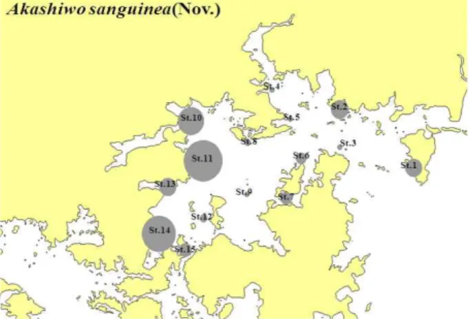 Fig.  7.  Horizontal  distribution  changes  is  Akashiwo  sanguinca  in  Jinhae  Bay  from  Nov