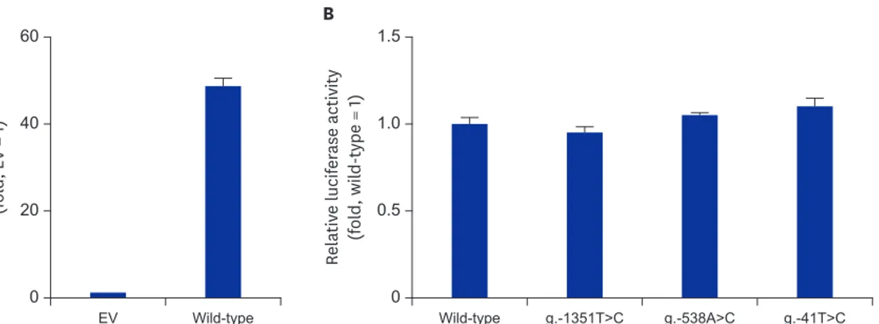 Fig. 2.  The effect of genetic variations on MERTK expression. (A) Immunoblotting assays performed using cell lysates obtained 48 hours after the transfection of  wild-type MERTK plasmids into HCT-116 cells, in the presence of endoH (lane 2) or PNGaseF (la