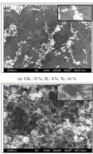 Fig.  3.  SEM  images  of  nanomaterials  formed  on  a  TEM  grid.