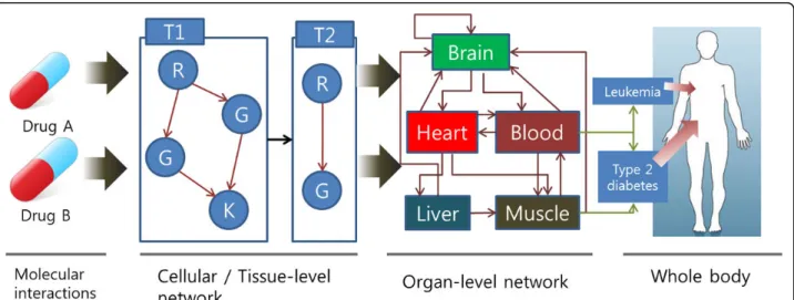 Figure 1 The scheme of the multi-scale network. Molecular interaction between drug and target lead to alterations in cellular- and tissue-level network, which lead to alteration in organ-level network, which, in turn, lead to whole body phenotype change.