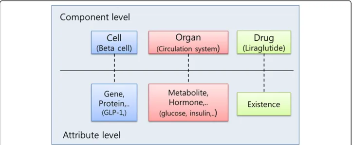 Figure 4 Component and attribute. Component is the place where attribute is or drug is