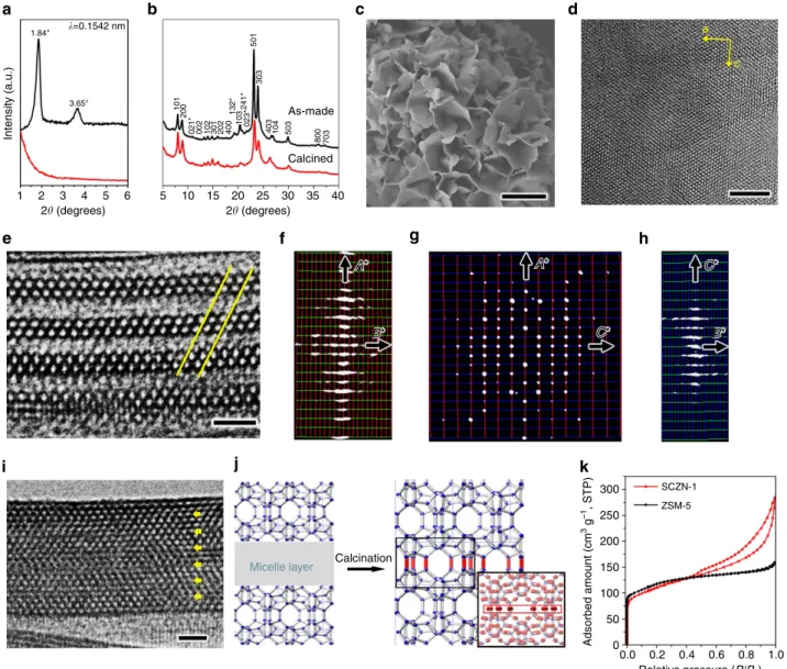 Fig. 14). Our strategy was also successfully extended to the bolaform amphiphilic molecules with the single quaternary ammonium head (Supplementary Fig