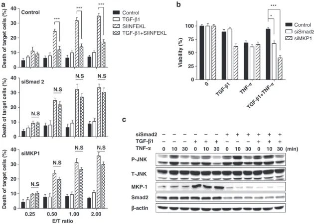 Figure 4 Knockdown of Smad2 or MKP-1 abolishes crosstalk between TGF-b1 and TNF-a. Knockdown of Smad2 and MKP-1 was achieved by siRNA transfection as described in the Materials and methods