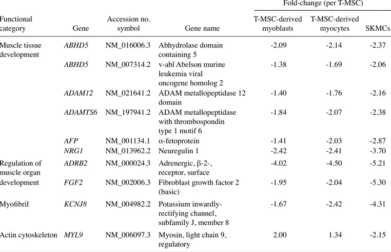 Table II. List of downregulated myogenic genes in the T-MSC-derived myocytes.