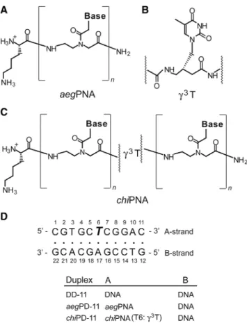 Figure 1. The chemical structures of (A) aegPNA, (B) (R)-g 3 T, (C)