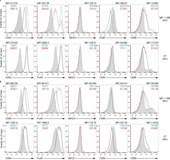 Figure 3.  Expression of cell surface molecules on BMBs. Flow cytometric analysis of CD63, Fcε RI,  MHCII,  CD80, and CD86 expression on BMBs was performed after IgE crosslinking (a and b, upper red line) or CT  stimulation (a and b, lower red line) for 2 