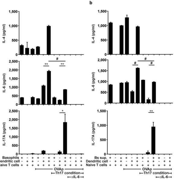 Figure 4.  Cooperation of basophils and DCs to drive TH17 cell differentiation. (a) Production of IL-4,   IL-6, and IL-17A following co-culture of IL-6 deficient naïve OT-II T cells with DCs, basophils or both in   the presence of OVA peptides or with OVA 