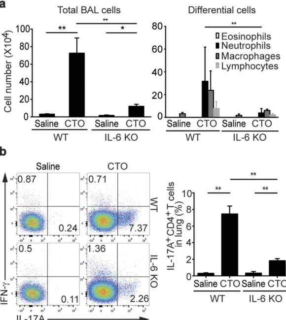 Figure 5.  Reduced CT-mediated TH17 responses and IL-17A production in absence of IL-6
