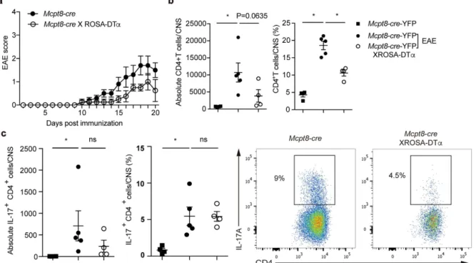 Figure 9.  Reconstitution of basophils in CTO-mediated lung inflammation. Quantification of total  inflammatory cells (a) and neutrophils (b) in BAL fluid from WT or IL-6 null mice that received WT or  IL-6 deficient basophils or WT DCs after CTO administr