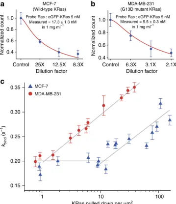 Figure 4 | Quantitative characterization of KRas in two human breast cancer cell lines