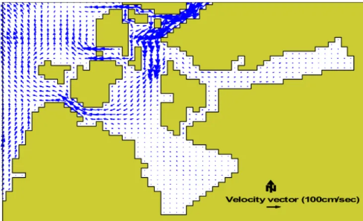 Fig. 6. Maximum flood current distribution of the Mokpo sea area.