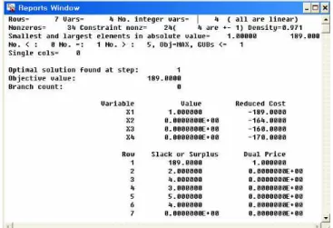 Fig. 10 Lindo package application result.