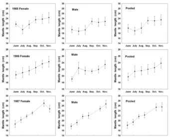 Table 2. Numbers of individuals between sex at mantle length class of Todarodes pacificus caught from the Yellow Sea in 1985-1987.