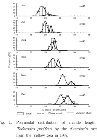 Fig. 5. Polymodal distribution of mantle length of Todarodes pacificus by the Akamine's method from the Yellow Sea in 1987.