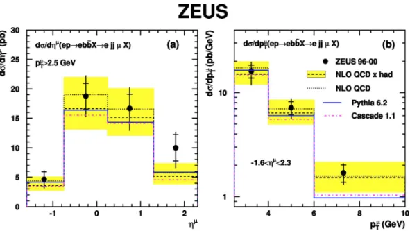 FIG. 5. Differential cross sections as a function of 共a兲 the muon pseudorapidity ␩ ␮ and 共b兲 transverse momentum p T ␮ , for p T ␮