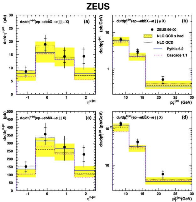 FIG. 6. Differential cross sections as a function of 共a兲 the pseudorapidity ␩ ␮-jet and 共b兲 the transverse momentum p T ␮-jet of the jet associated to the muon, for p T ␮-jet ⬎6 GeV, ␩ ␮-jet ⬍2.5, for muons passing the selection of Eq