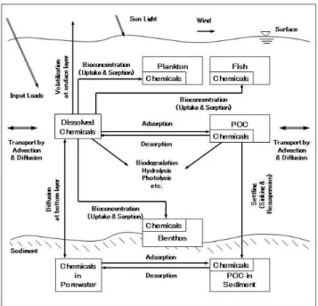 Table 1. Biological and chemical processes which were applied in each cell of the EMT-3D(Kim et al., 2004).