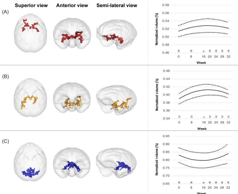 Fig 1. Trajectories of gray matter volume changes in the first (A), second (B), and third (C) clusters over 32 weeks