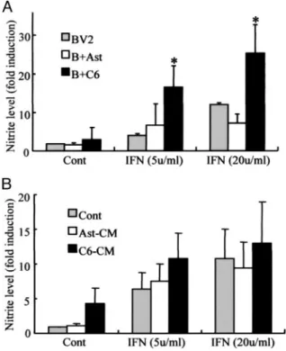 FIGURE 2. IFN- ␥-stimulated NO release and survival in microglia cultured on astrocyte- or glioma cell-
