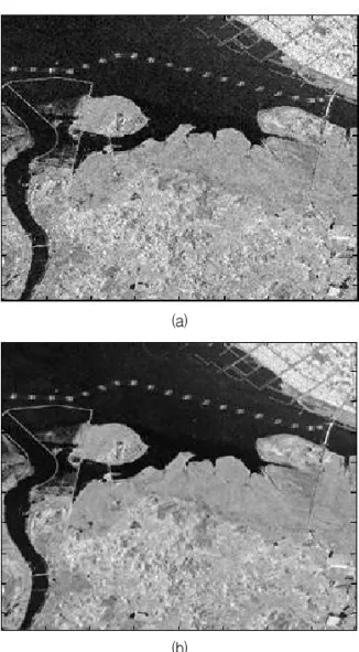 그림 1. TerraSAR-X Image: (a)Before applying speckle filtering, (b)After applying speckle filtering