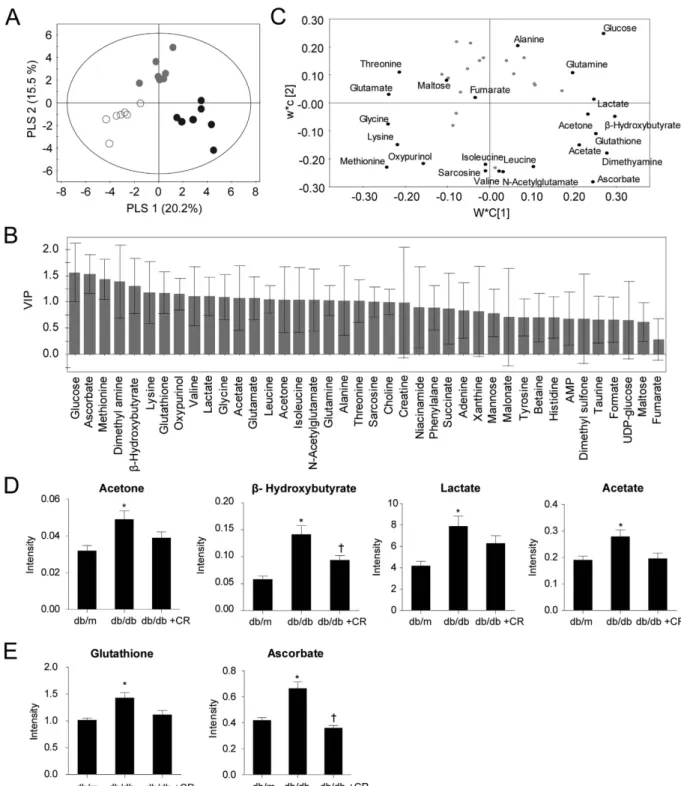 Figure 2.  Quantification of aqueous metabolites in liver samples. Score scatter plot (A), variable importance of 