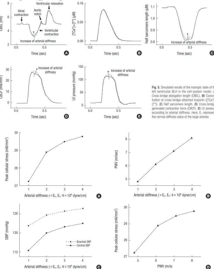 Fig. 5. Simulated results of the inotropic state of the  left ventricular BLH in the cell-system model