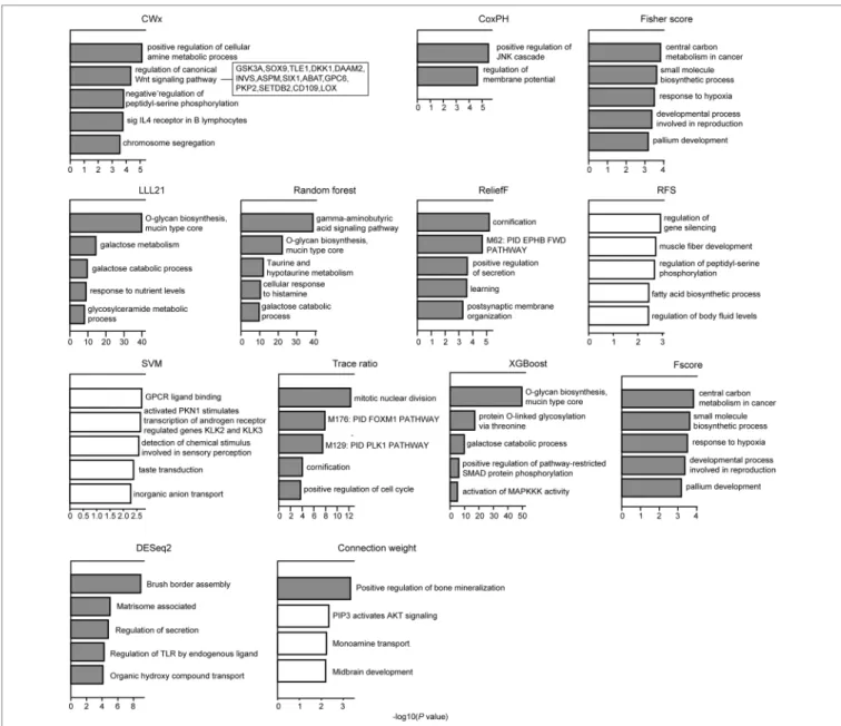 FIGURE 4 | Gene ontology (GO) analysis of top 100 genes. GO analysis was performed using Metascape (http://metascape.org/gp/index.html) with top 100 genes 