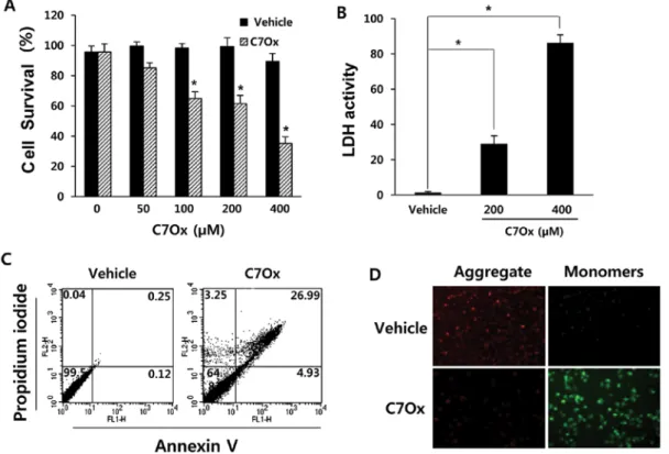 Figure 3. C7Ox induces caspase-6 activation and PARP cleavage in H1299 cells. (A) Cells were treated with the indicated concentrations of C7Ox for 24 h