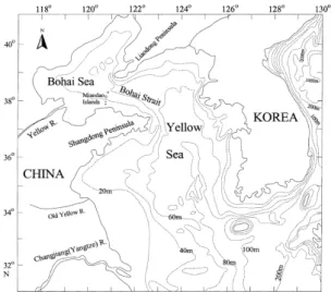 Fig.  2.  Meterological  stations  (▲)  of    Korea  Meteorological  Administration  and  coastal  observation  stations  (★)  of  National  Fisheries  Research  and  Development  Institute  used  for  studies.