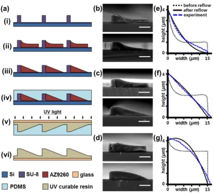 Fig.  2.  (a)  Monolithic  fabrication  method  for  asymmetric  surface-relief  microstructures