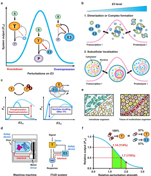 Figure 8 | The design principles of the ITUD system. (a) Biphasic response of ITUD with respect to the perturbation on E3