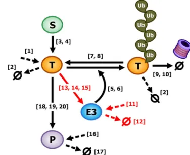 Figure 3 | Graphical representation of the major parameters commonly used in SNFL, DTUD, and ITUD