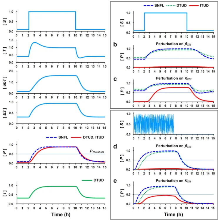 Figure 5 | Temporal dynamics under the perturbation of the critical determinants. (a) Temporal dynamics of the perturbation-free condition (control)