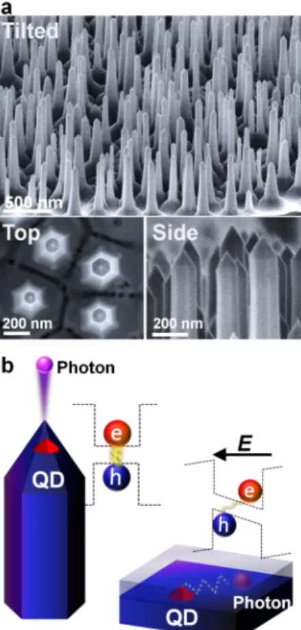 Figure 1 | Formation of GaN nano-obelisks including InGaN quantum structures. (a) Tilted-, top-, and side-view SEM images for nano-obelisks