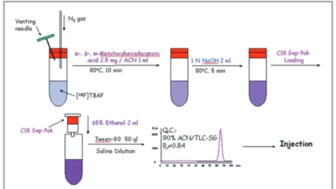 Figure 3.  18 F-labeling