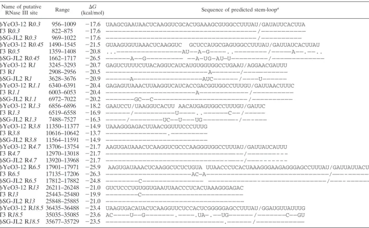 TABLE 2. Comparison of predicted RNase III sites of bacteriophages ␾YeO3-12 and ␾SG-JL2